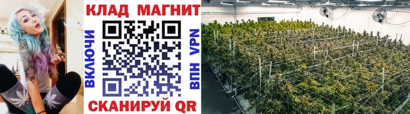 Цена Болохово Марихуана Амфетамин Псилоцибиновые грибы Меф мяу мяу
