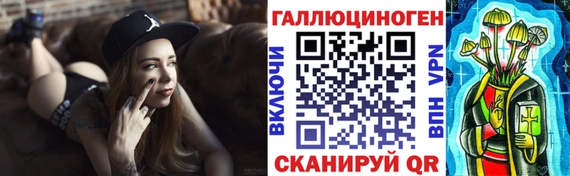 купить Болохово Псилоцибиновые грибы Psilocybe